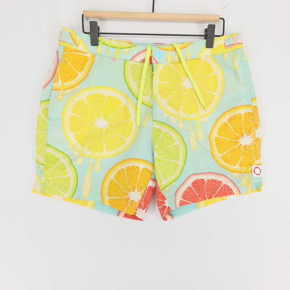 Public Beach Swim Trunks Mens M Blue Citrus Fruit Print Board Shorts Lined